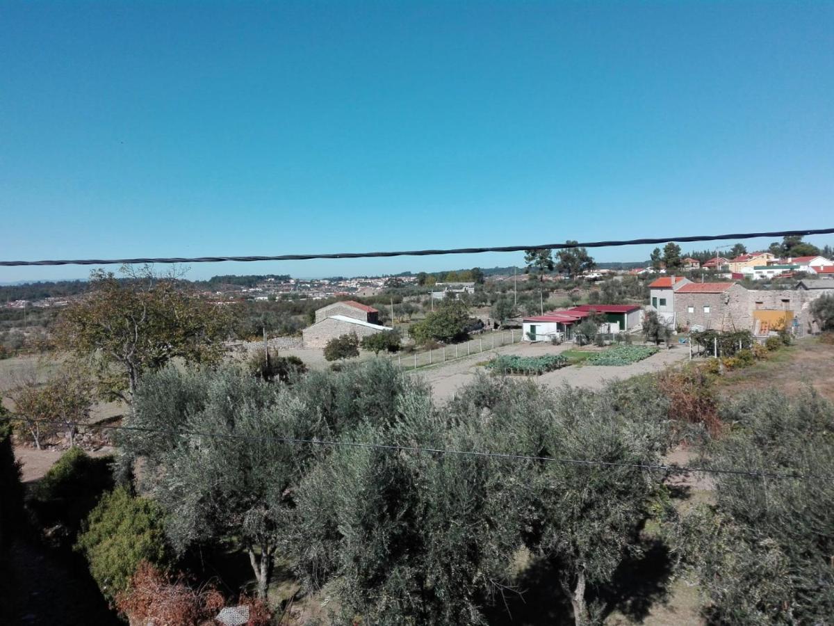 Casa D'Avo Serra Da Estrela Seia Εξωτερικό φωτογραφία